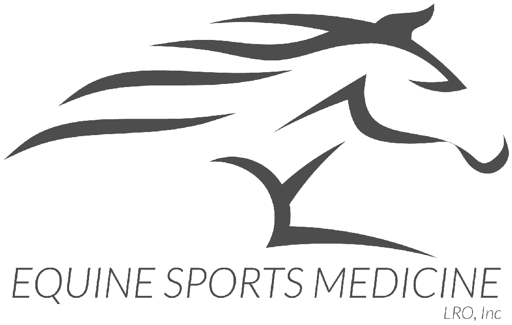 Equine Sports Medicine