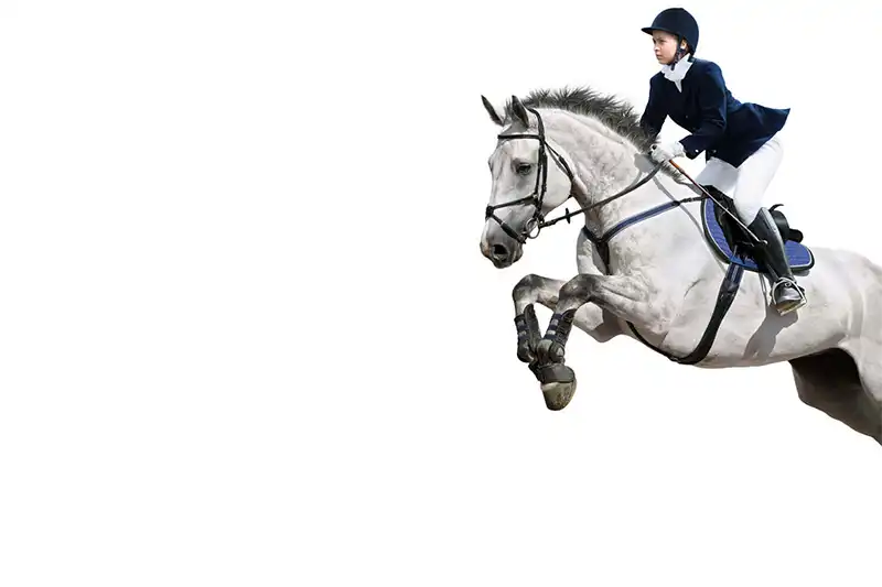 A horse and rider jumping