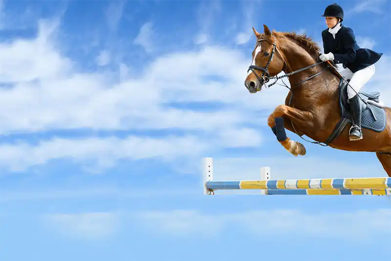 A horse and rider jumping